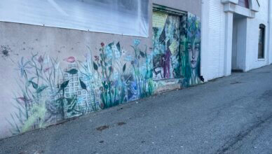 Photo Taken by Summer Griffin of a mural at “Art in the Alley” Wilcox Way, Greensburg, Pa.